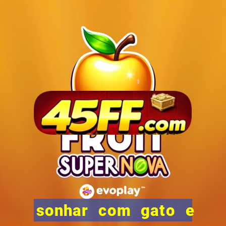 sonhar com gato e cachorro jogo do bicho